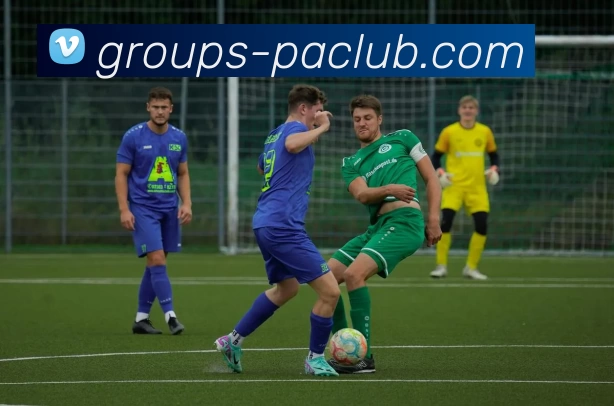 PA直营平台平台生态图